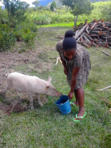 Aliva with her pig
